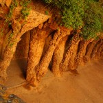 ガウディの作品